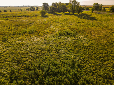 496+\- acres for sale Sheldon MO - image 12