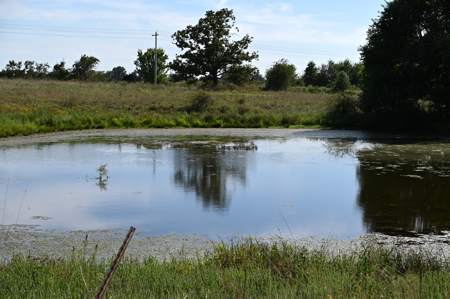 496+\- acres for sale Sheldon MO - image 47