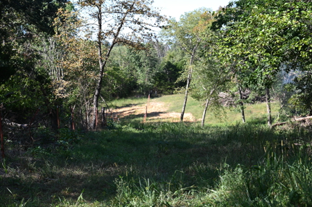 496+\- acres for sale Sheldon MO - image 46