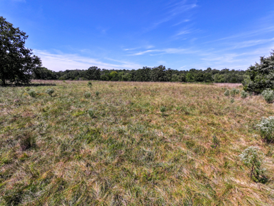 496+\- acres for sale Sheldon MO - image 18