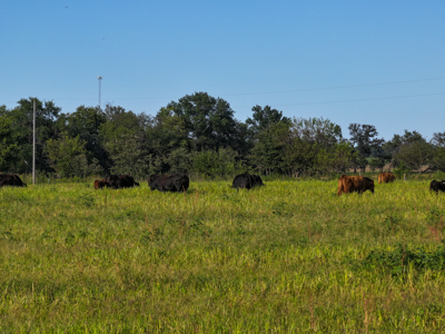 496+\- acres for sale Sheldon MO - image 32