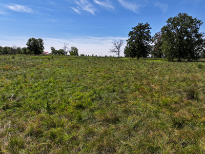 496+\- acres for sale Sheldon MO - image 17