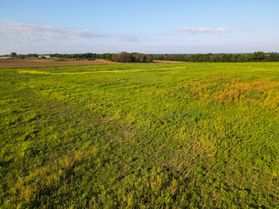 496+\- acres for sale Sheldon MO - image 6