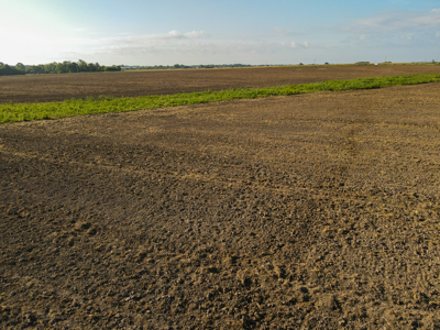 496+\- acres for sale Sheldon MO - image 4