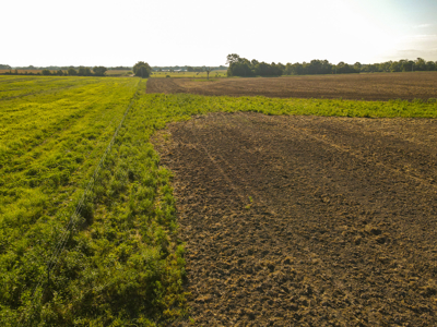 496+\- acres for sale Sheldon MO - image 3