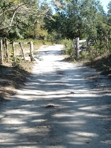 Large land tract for sale in Costa Rica by broker Michael Krieg - image 8
