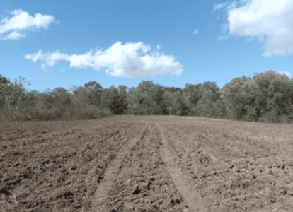 Large land tract for sale in Costa Rica by broker Michael Krieg - image 12