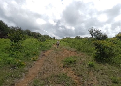 Large land tract for sale in Costa Rica by broker Michael Krieg - image 5