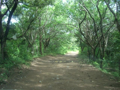 Large land tract for sale in Costa Rica by broker Michael Krieg - image 13