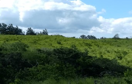 Large land tract for sale in Costa Rica by broker Michael Krieg - image 7