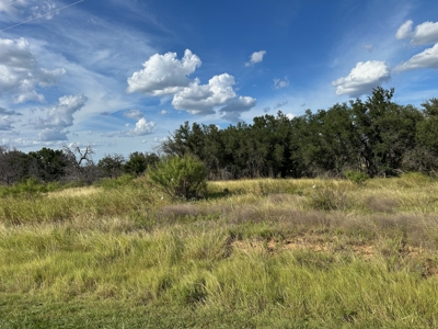 Lot 720 Safe Harbor – Golf & Resort Living in Brownwood, TX - image 3
