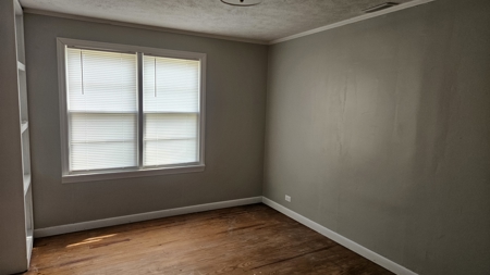 3 bed 2 bath on 3 lots in Rector Arkansas for sale - image 10