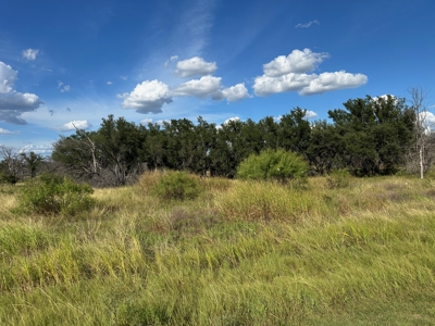 Dbl Lot Safe Harbor Dr The Hideout Resort Lake Brownwood, Texas - image 2