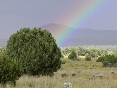 Fully Fenced Ranch Property for Sale in Northern Arizona - image 13