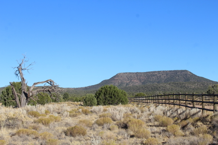Fully Fenced Ranch Property for Sale in Northern Arizona - image 3
