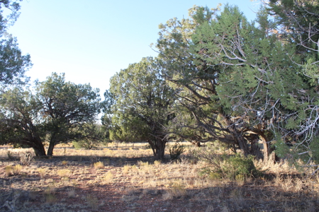 Fully Fenced Ranch Property for Sale in Northern Arizona - image 7