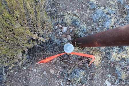 Fully Fenced Ranch Property for Sale in Northern Arizona - image 6