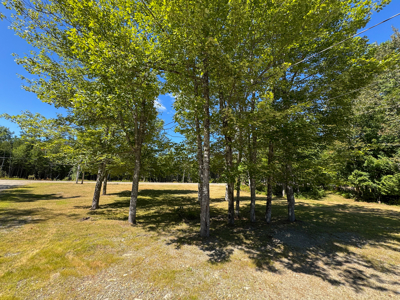 3 Bedroom Ranch on 2.2 Acres with Pool  - Lee, Maine - image 12