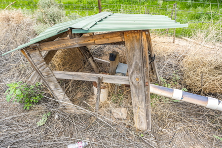 Farmland for Sale in the North Valley of Las Cruces, NM - image 18