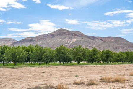 Farmland for Sale in the North Valley of Las Cruces, NM - image 24