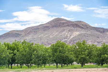 Farmland for Sale in the North Valley of Las Cruces, NM - image 25