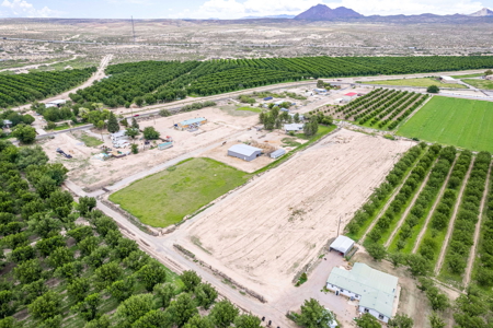 Farmland for Sale in the North Valley of Las Cruces, NM - image 6