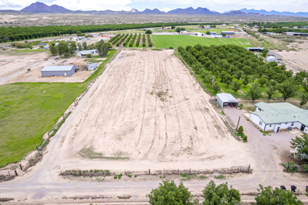 Farmland for Sale in the North Valley of Las Cruces, NM - image 4