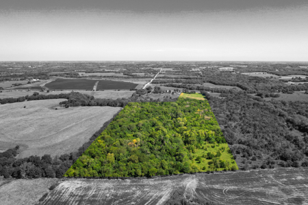 Caldwell County MO Online Only Land Auction - image 18