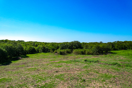 Caldwell County MO Online Only Land Auction - image 8