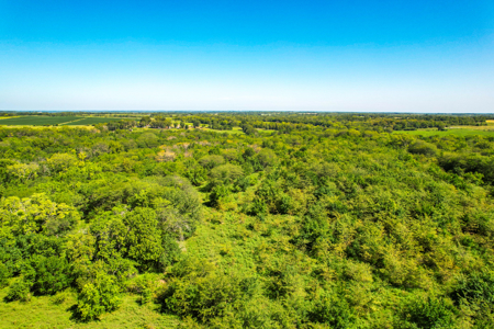 Caldwell County MO Online Only Land Auction - image 7