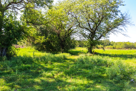 Caldwell County MO Online Only Land Auction - image 13
