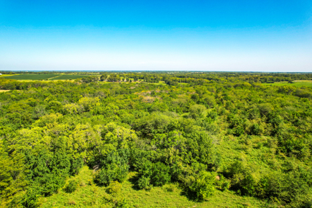 Caldwell County MO Online Only Land Auction - image 6