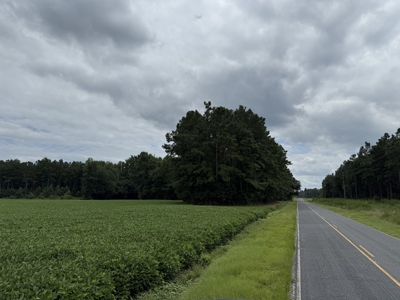 305 Acres Farmland & Timber with Hunting in NC - image 10