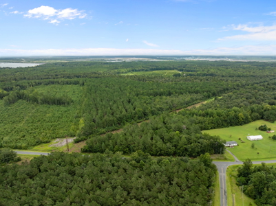 305 Acres Farmland & Timber with Hunting in NC - image 16