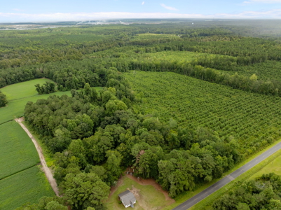 305 Acres Farmland & Timber with Hunting in NC - image 19
