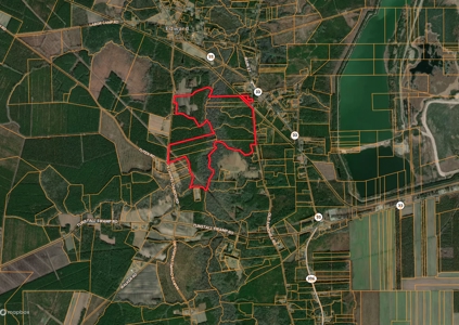 305 Acres Farmland & Timber with Hunting in NC - image 12