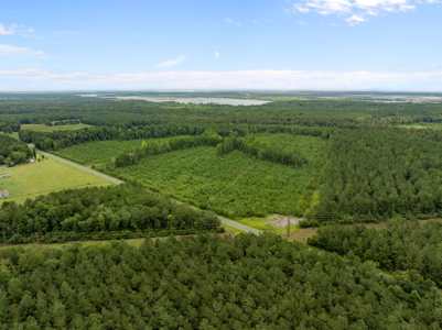 305 Acres Farmland & Timber with Hunting in NC - image 14