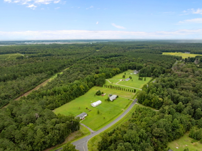305 Acres Farmland & Timber with Hunting in NC - image 15