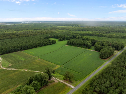 305 Acres Farmland & Timber with Hunting in NC - image 17