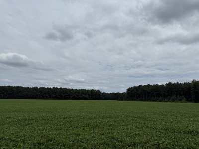 305 Acres Farmland & Timber with Hunting in NC - image 11