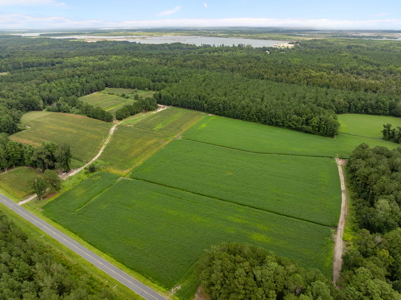 305 Acres Farmland & Timber with Hunting in NC - image 18