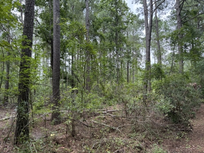 305 Acres Farmland & Timber with Hunting in NC - image 5