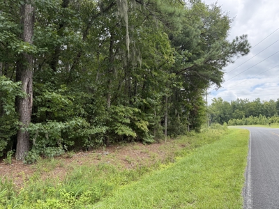 305 Acres Farmland & Timber with Hunting in NC - image 3