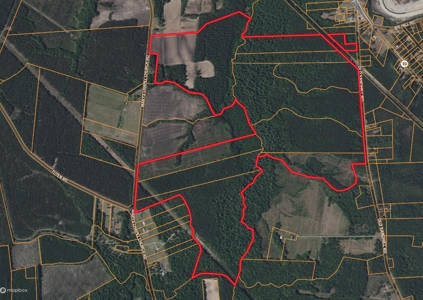 305 Acres Farmland & Timber with Hunting in NC - image 1