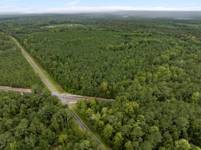 305 Acres Farmland & Timber with Hunting in NC - image 23