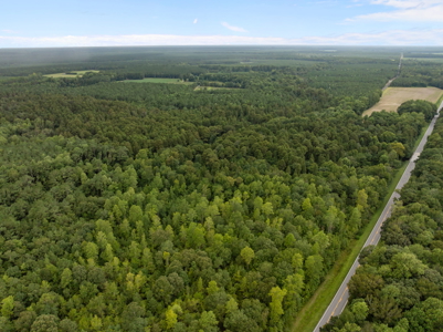 305 Acres Farmland & Timber with Hunting in NC - image 22