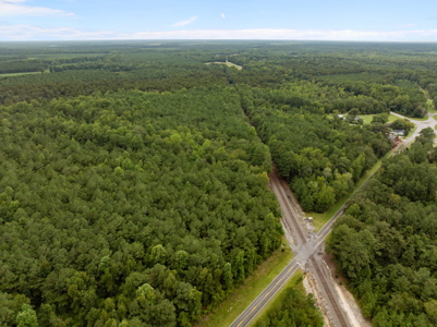 305 Acres Farmland & Timber with Hunting in NC - image 25