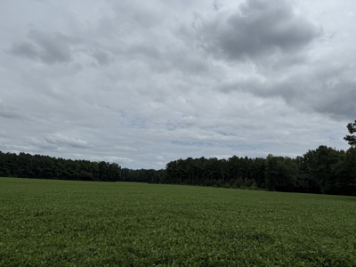 305 Acres Farmland & Timber with Hunting in NC - image 9