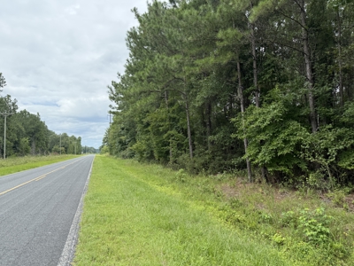 305 Acres Farmland & Timber with Hunting in NC - image 2