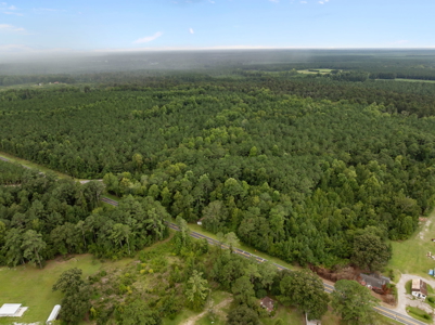 305 Acres Farmland & Timber with Hunting in NC - image 21